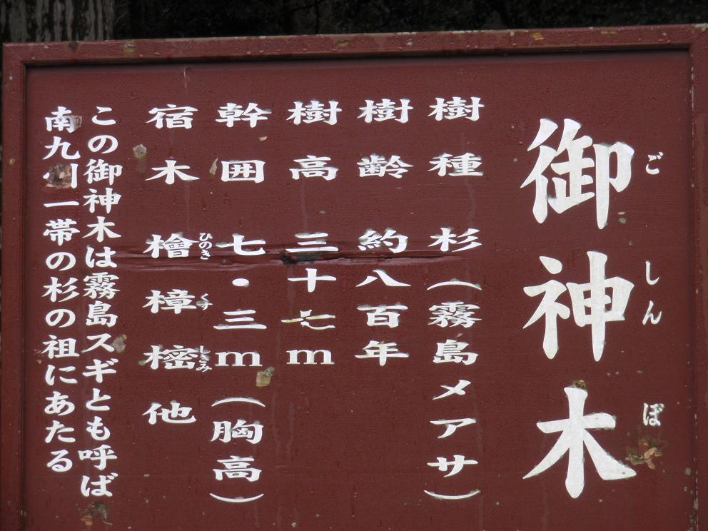 b0172502_16264172.jpg