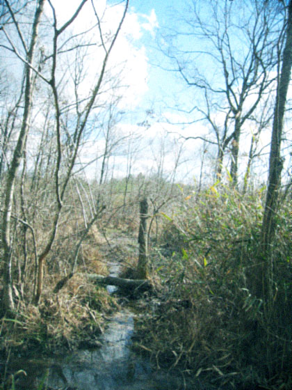 d0077603_13423139.jpg