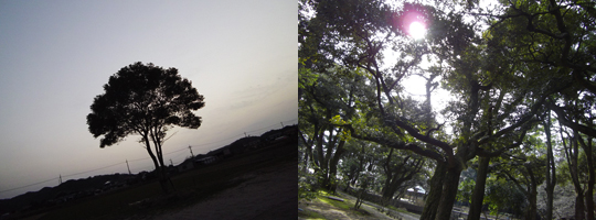 b0093110_17325979.jpg