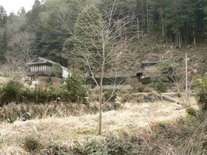 f0219710_947246.jpg