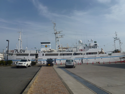 d0019913_1144060.jpg
