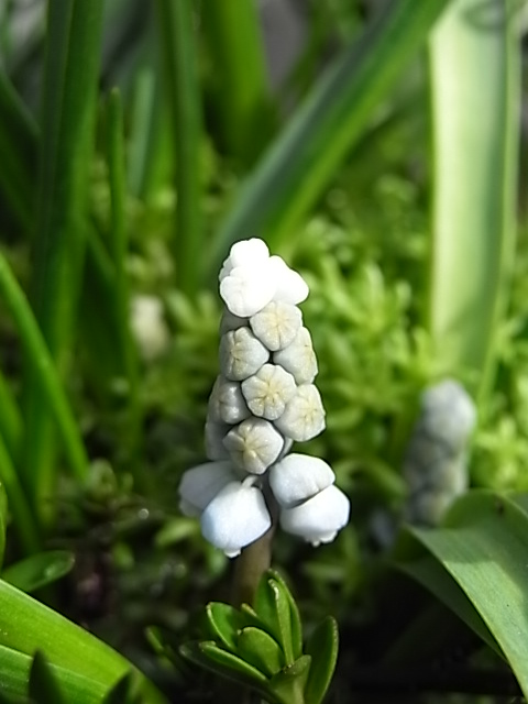 f0188413_736492.jpg