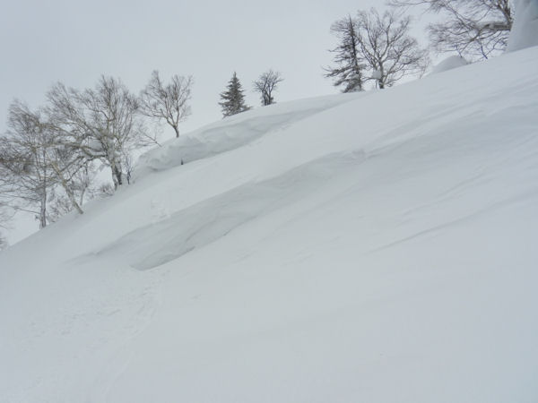 e0126914_2305171.jpg