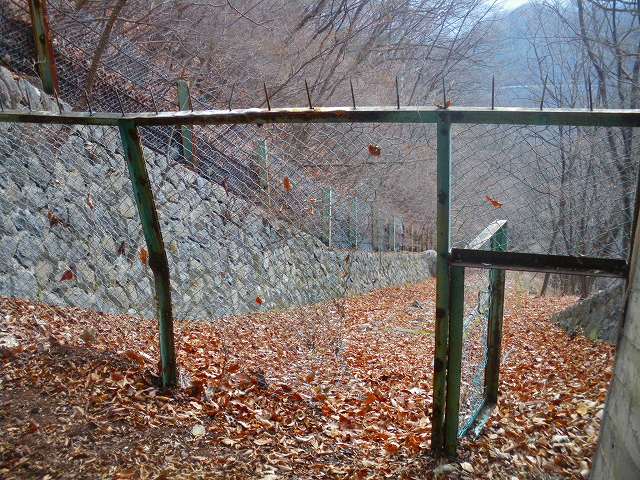 a0243317_11325573.jpg