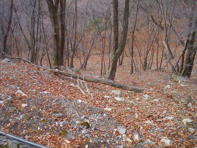 a0243317_1144896.jpg