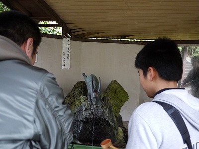 宇治川の激流にびっくりしつつ、宇治神社で兎に出会うこと。_a0158724_2305982.jpg