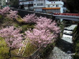 熱川ウォーキング〜伊豆高原暮らし_c0039428_19239100.jpg