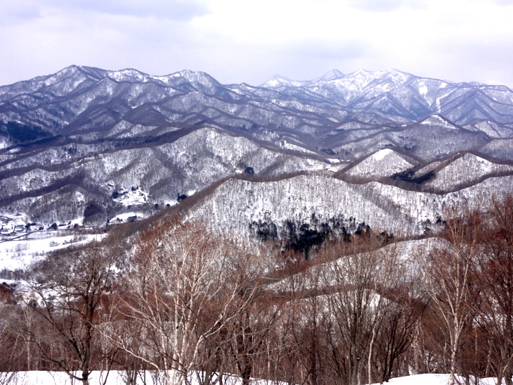 d0235336_2036423.jpg