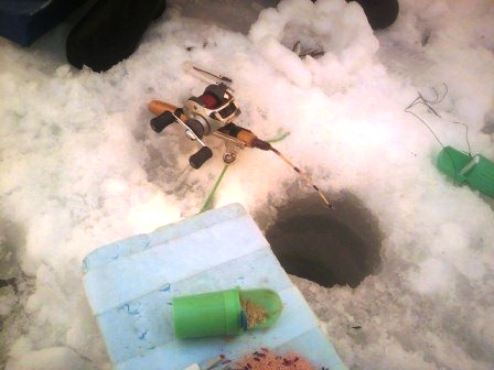 春を待つプチ農民と冬を惜しむ釣りキチの話_b0206037_16352350.jpg