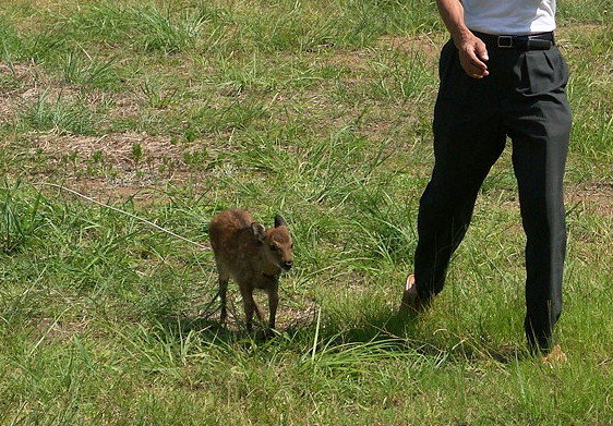 Day with the Mammals_b0060239_2255553.jpg
