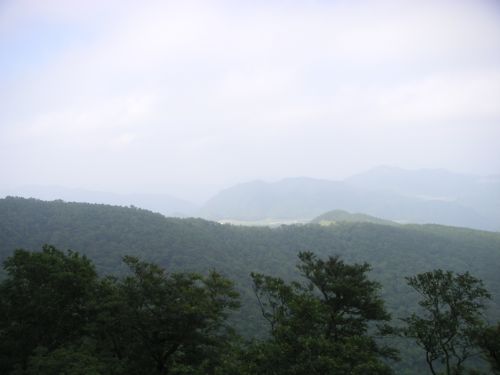 e0086244_16285038.jpg