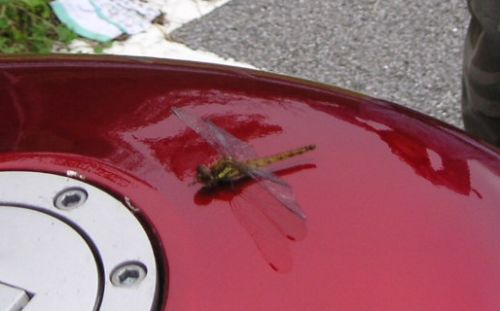 e0086244_16301570.jpg