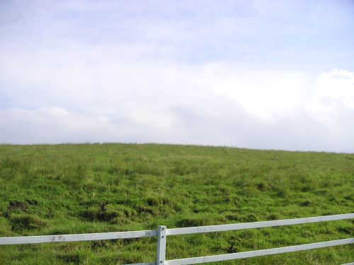 e0086244_16332454.jpg