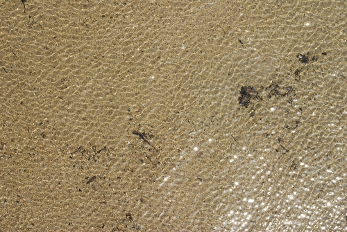 f0229844_21585630.jpg