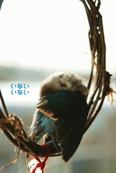 c0145250_12485242.gif