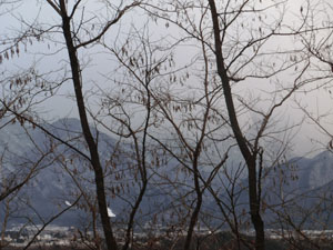 c0159557_23434861.jpg