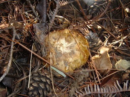 c0108460_23324976.jpg