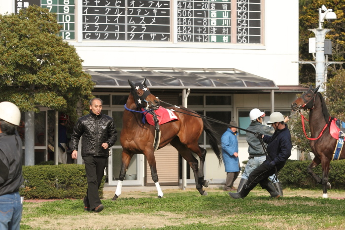 2012年3月20日（火） 高知競馬 5R JRA交流競走 はりまや盃 B以下 その1_a0077663_7473027.jpg