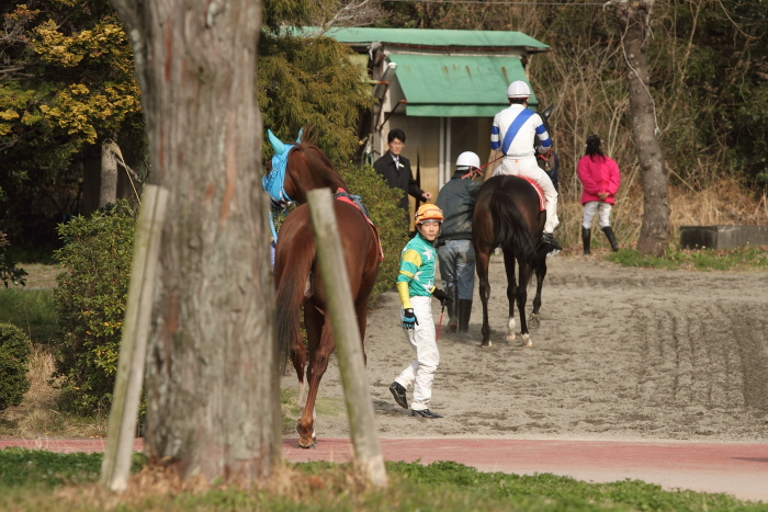 2012年3月20日（火） 高知競馬 5R JRA交流競走 はりまや盃 B以下 その1_a0077663_7473911.jpg