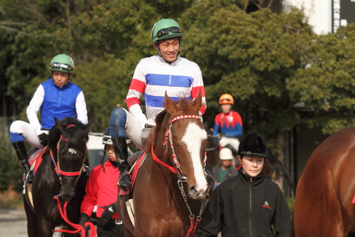 2012年3月20日(火) 高知競馬 5R JRA交流競走 はりまや盃 B以下 その1_a0077663_7474768.jpg