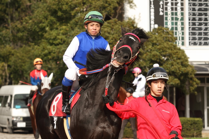 2012年3月20日(火) 高知競馬 5R JRA交流競走 はりまや盃 B以下 その1_a0077663_7475711.jpg