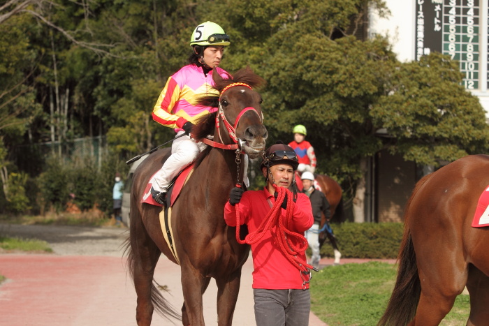 2012年3月20日(火) 高知競馬 5R JRA交流競走 はりまや盃 B以下 その1_a0077663_7481175.jpg