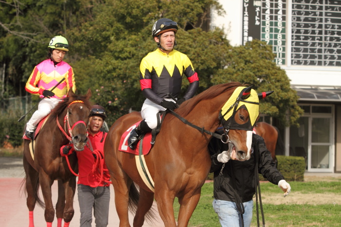2012年3月20日(火) 高知競馬 5R JRA交流競走 はりまや盃 B以下 その1_a0077663_748451.jpg