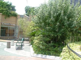 f0150767_15473839.jpg