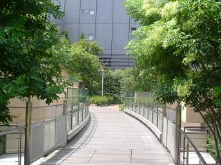 f0150767_15482469.jpg