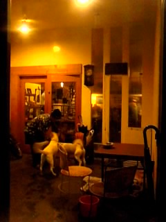 c0023171_20575532.jpg