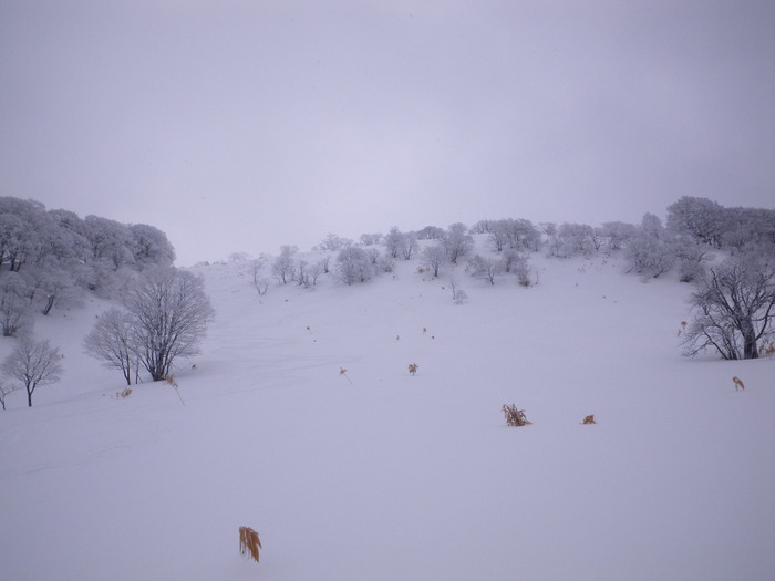 冬の名残の安達太良山 迷沢 ～ ２０１２年３月２０日_f0170180_22545581.jpg