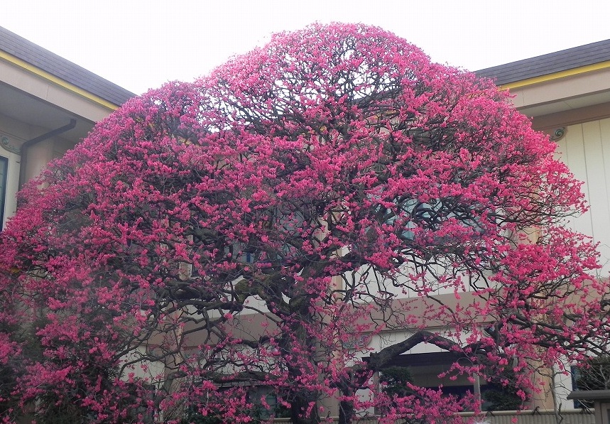 手_c0187781_2012275.jpg