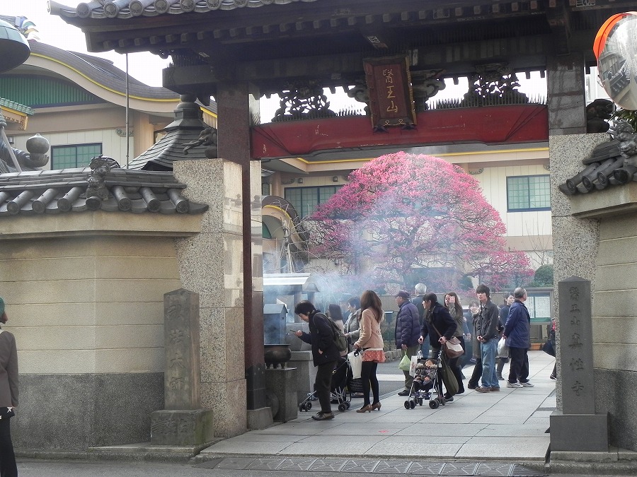 手_c0187781_2021028.jpg
