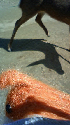 f0075595_8143032.jpg