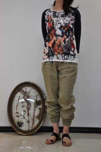 ひときわ目を引く・・・・ホースプリント-STELLA McCARTNEY-_e0127399_2013675.jpg