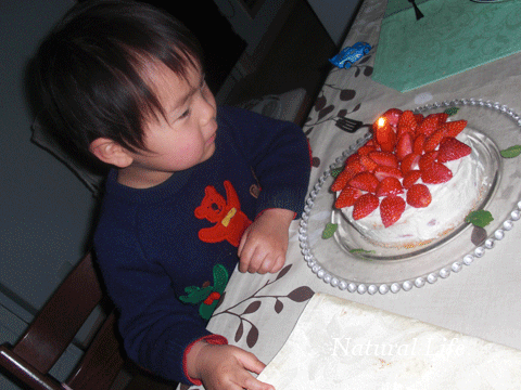 b0162000_1501942.gif