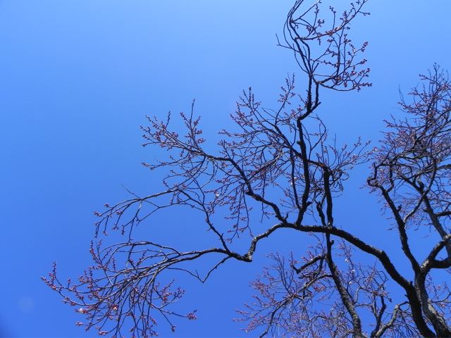 f0144003_6233616.jpg
