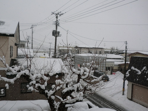 e0242504_1426340.jpg