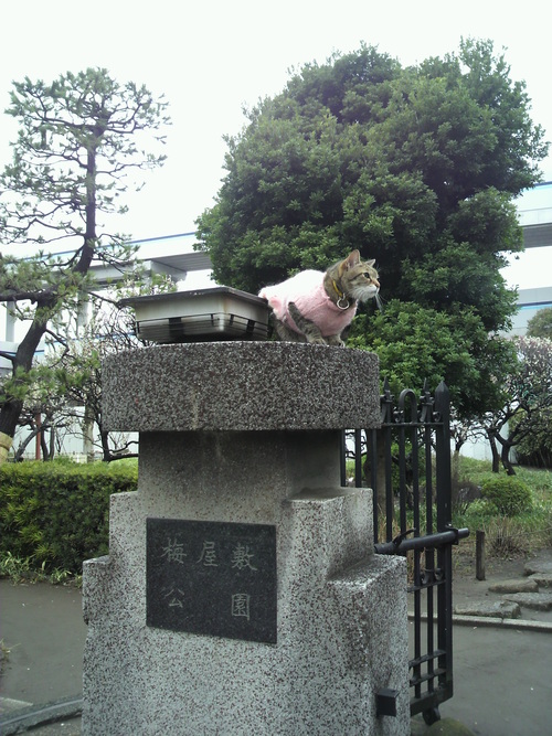 e0031605_1510078.jpg