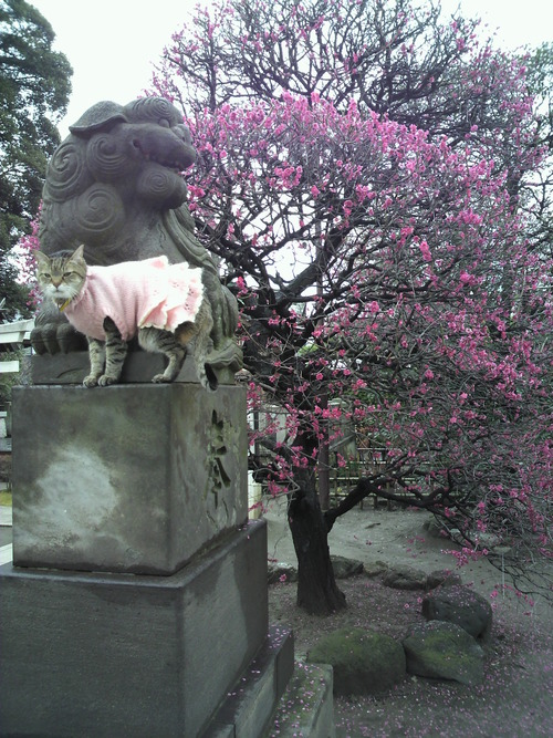 e0031605_15111731.jpg