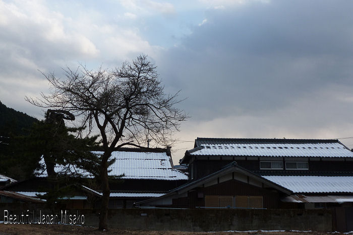 銀山湖へ・・・　3月14日_c0067206_14155360.jpg