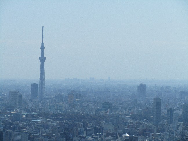 e0118908_2234313.jpg