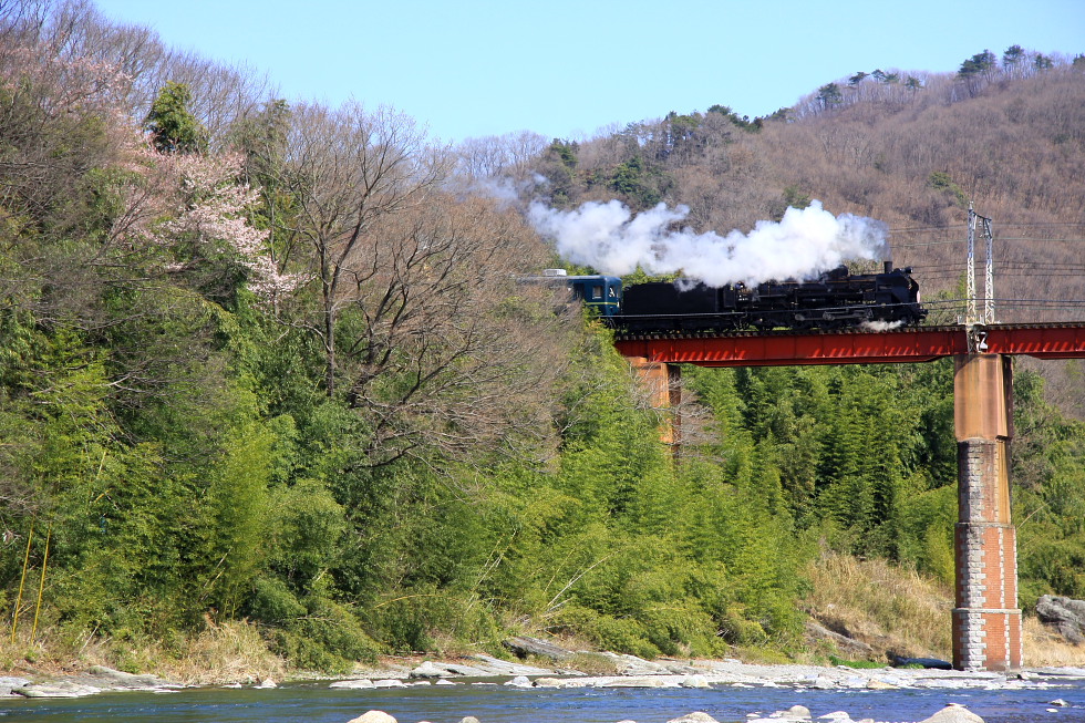 彼岸桜の頃 - 2009年・秩父 -_b0190710_22525711.jpg