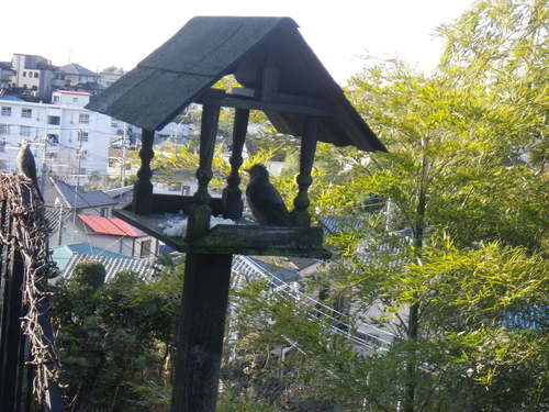 f0230410_155153.jpg