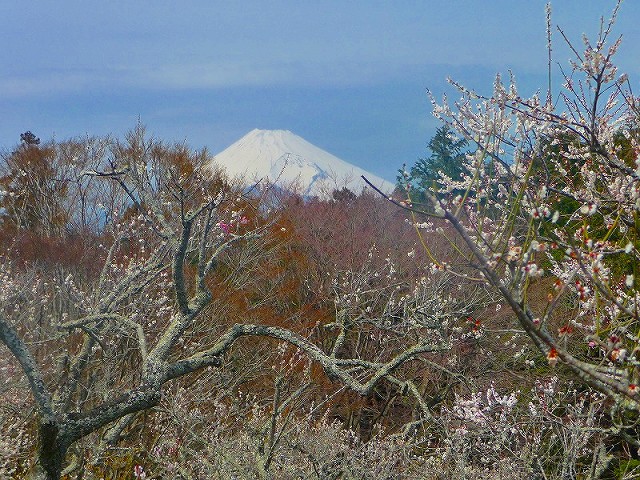 f0182513_23101324.jpg