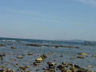 a0177314_1629281.jpg
