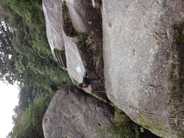 d0171214_158751.jpg