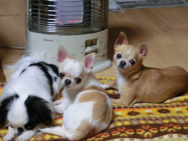 c0200916_21404334.jpg