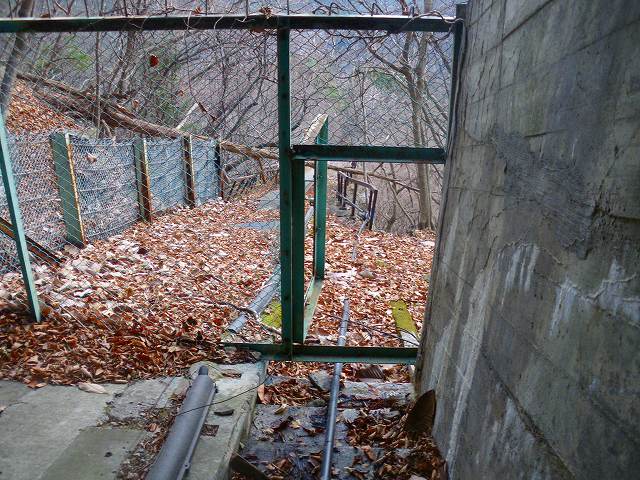 a0243317_8353628.jpg
