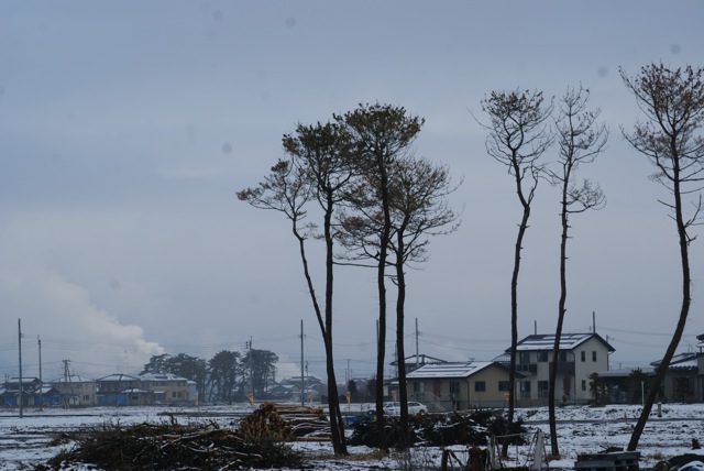 今月三度目の週末雪_f0143119_2361047.jpg